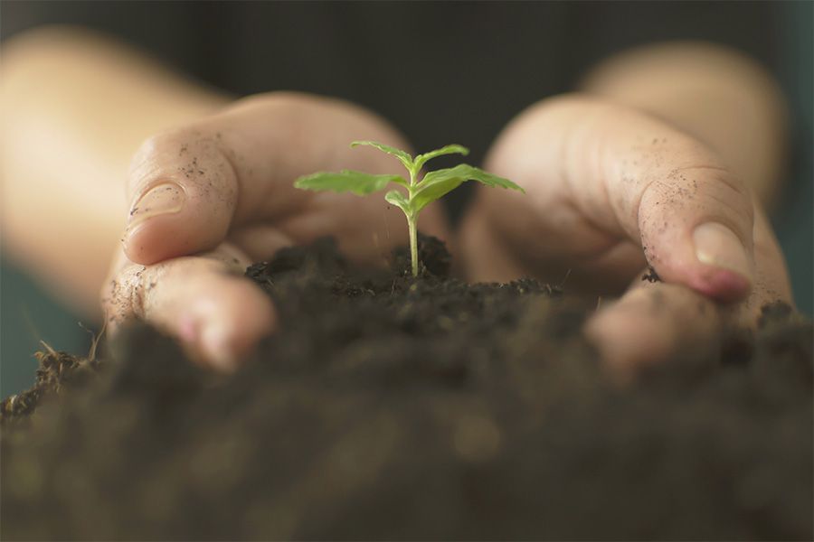 Květináč na konopí