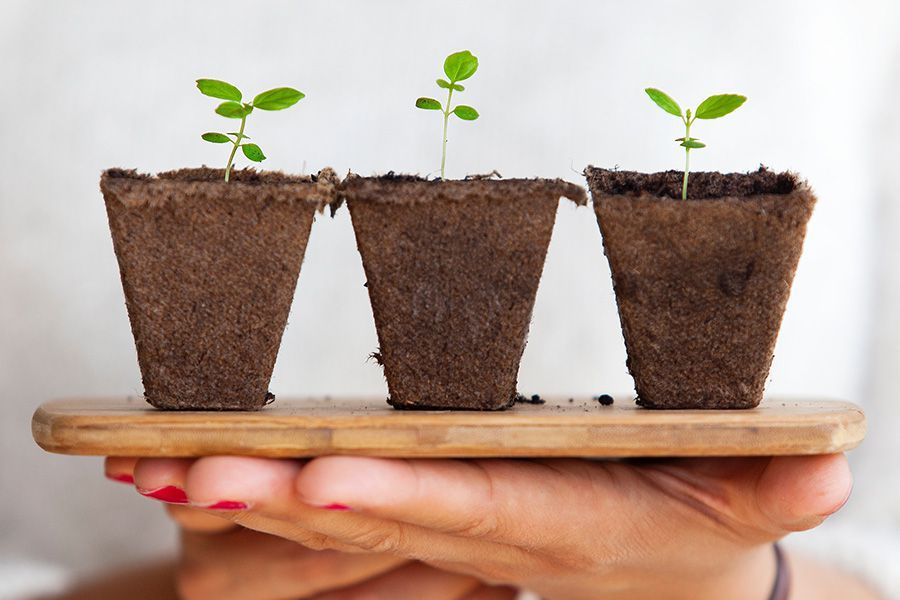 Květináč pro konopí