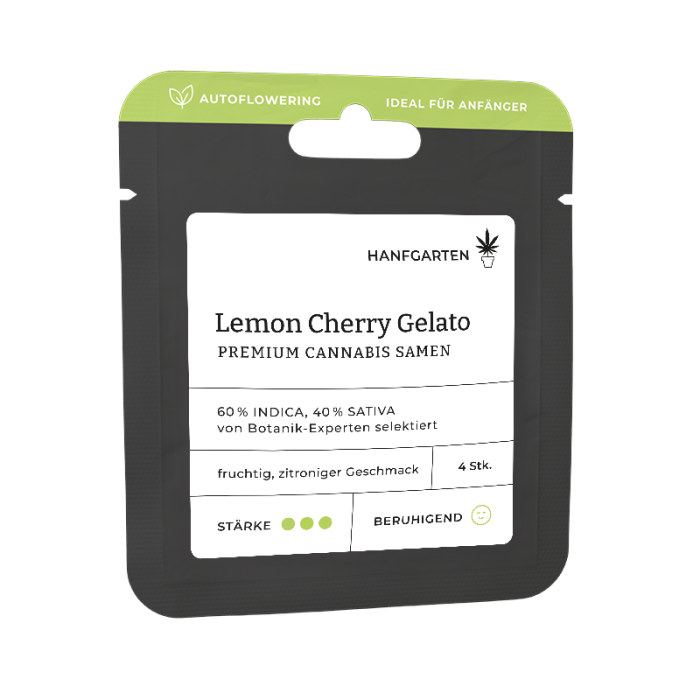 Lemon Cherry Gelato | Autoflowering