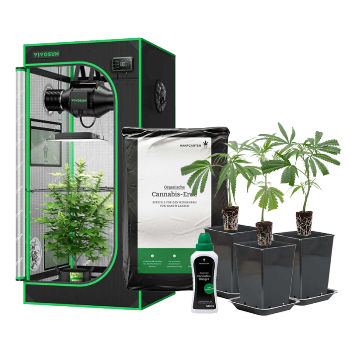 Indoor pěstitelský balíček vše v jednom | řízky