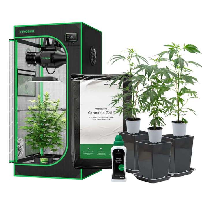 Vnitřní pěstování všestranně bezstarostný balíček | Rostliny