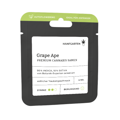 Grape Ape | Autoflowering Vorderseite
