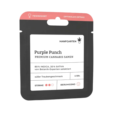 Purple Punch Samen Vorderseite