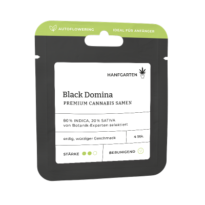Black Domina | Autoflowering Vorderansicht