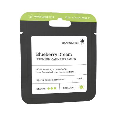 Blueberry Dream | Autoflowering Vorderseite
