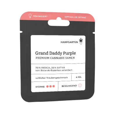 Grand Daddy Purple (GDP) | Feminisiert Vorderansicht