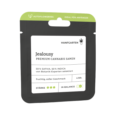 Jealousy | Autoflowering Vorderseite
