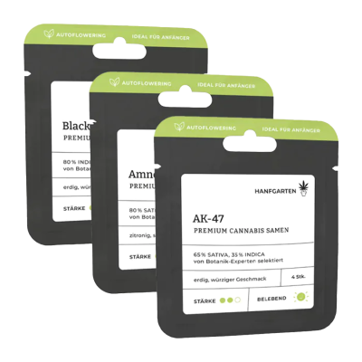 Bestseller Samen 3er Set Verpackungen