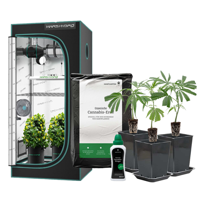 Indoor pěstitelský balíček vše v jednom | Řízky
