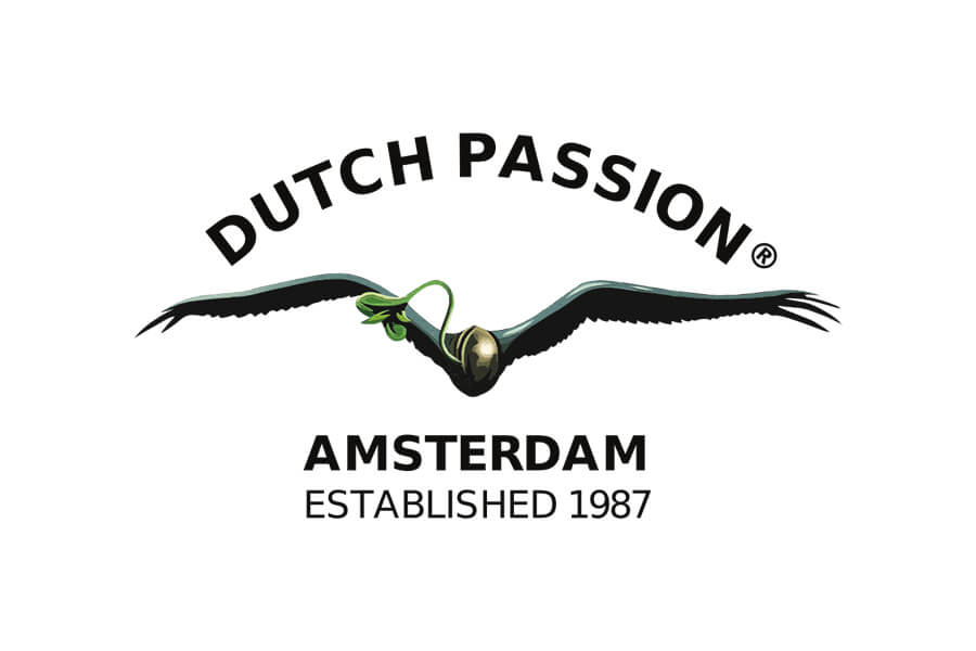 O Dutch Passion