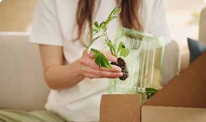 Spezialverpackung für Pflanzen Spezialverpackung für Pflanzen