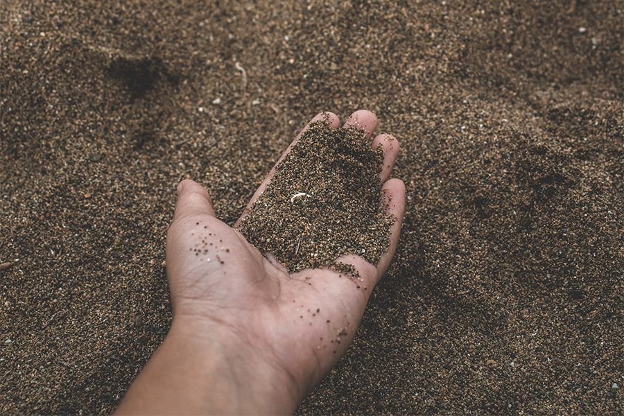 Jak správně hnojit konopí