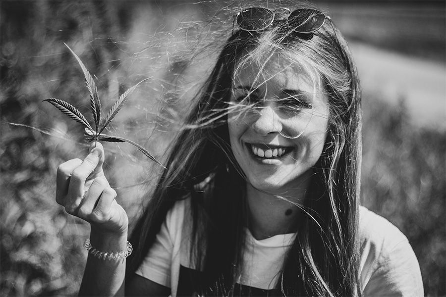 Informace a tipy k pěstování rostlin konopí