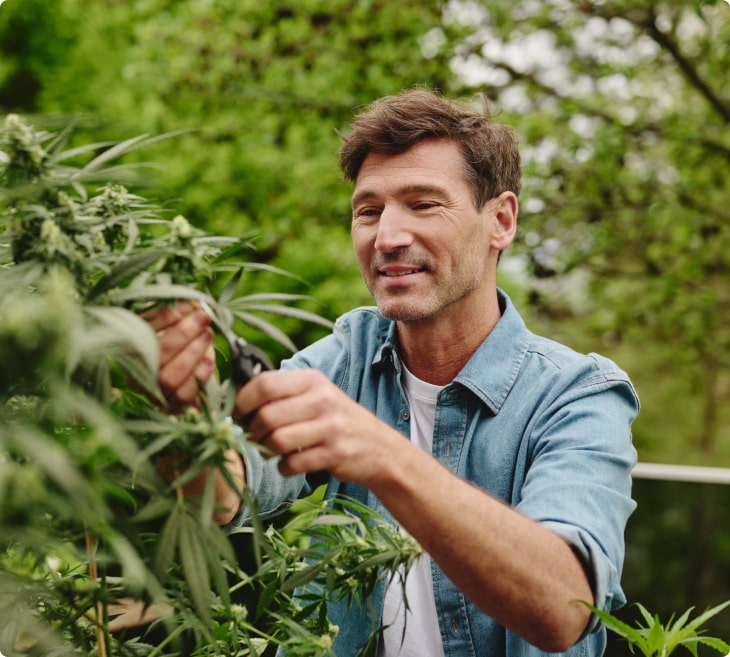 Umweltfreundliche Verpackung & BIO-Qualität