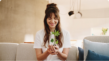 Hanfgarten Erfolgsgarantie Hanfgarten Erfolgsgarantie